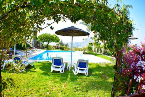 Garden, Pool view, Swimming pool