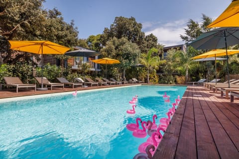 Pool view, Swimming pool, sunbed