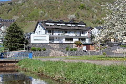Pension Mosella , Wohnung mit Balkon und Moselblick Apartment in Ediger-Eller