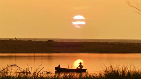 Natural landscape, View (from property/room), Beach, Canoeing, River view, Sea view, Sunset