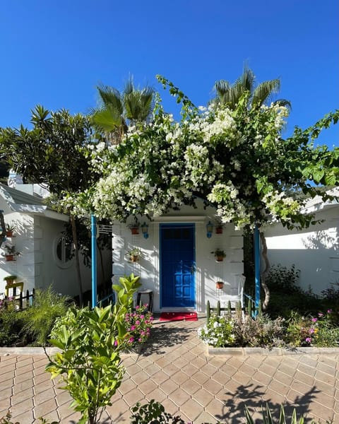 Property building, Day, Garden, Garden view