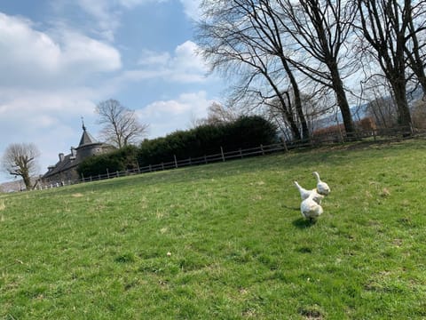 Domaine de Priesmont Villa in Vielsalm