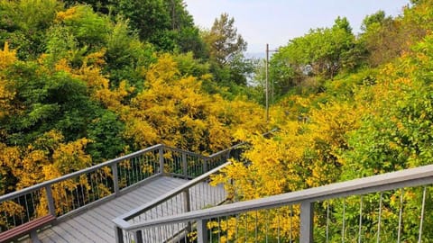 Keja Domki Chłapowo Nature lodge in Pomeranian Voivodeship