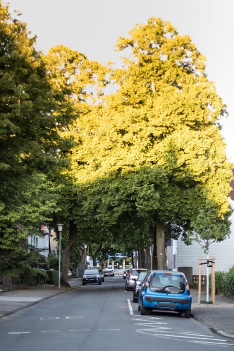 Hotel Alscher Bed and Breakfast in Leverkusen