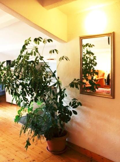 Ferienwohnung Haus Edith in Laufenburg Apartment in Aargau, Switzerland