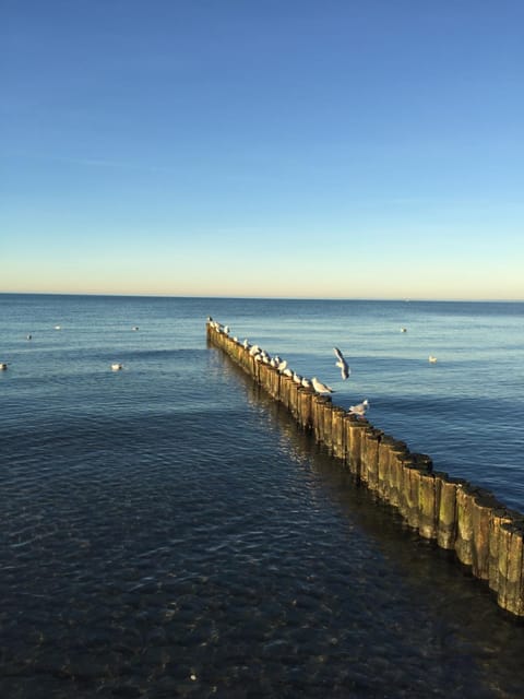 Traditionelles Reethaus direkt an der Ostsee House in Rerik