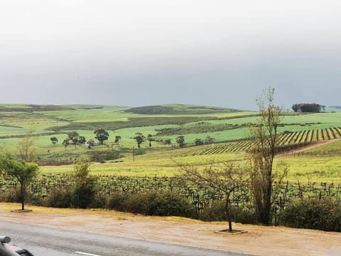 Natural landscape, Quiet street view