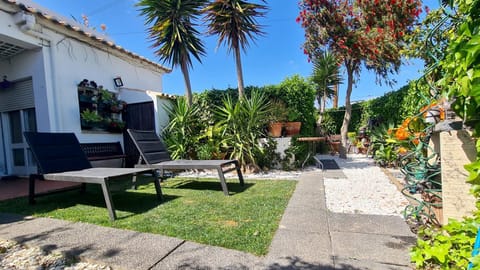 Patio, Garden, Garden view