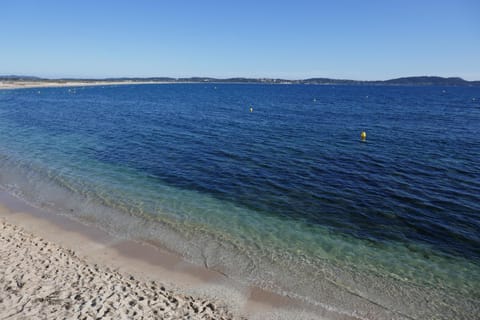 Spring, Natural landscape, Beach