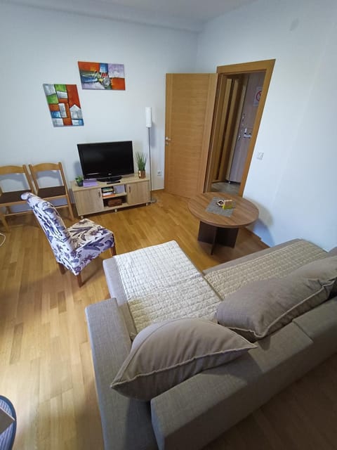 Apartman Dana Apartment in Serbia