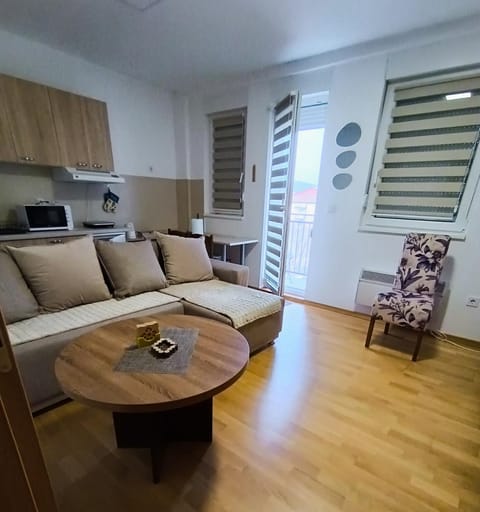 Apartman Dana Apartment in Serbia