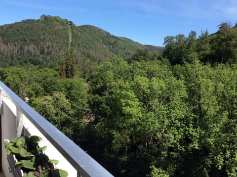 View (from property/room), Landmark view