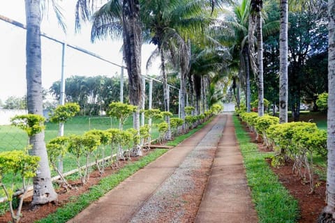 Natural landscape