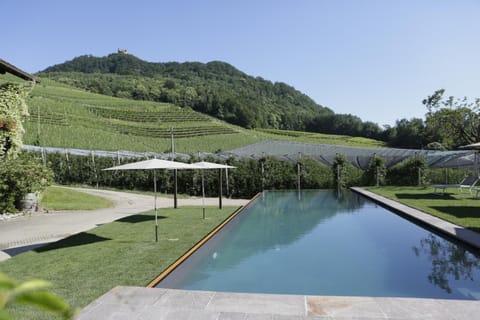 Natural landscape, Swimming pool