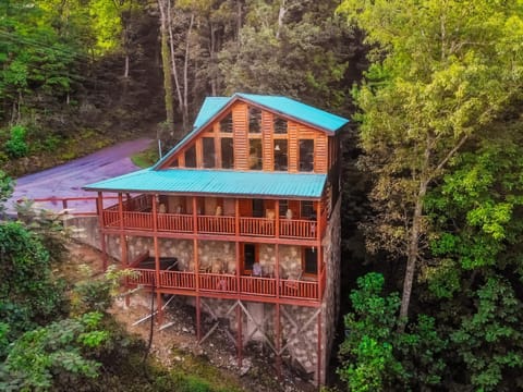 The Circle Of Life, Hot Tub, Theater Room, 560 FREE tickets each paid day House in Gatlinburg