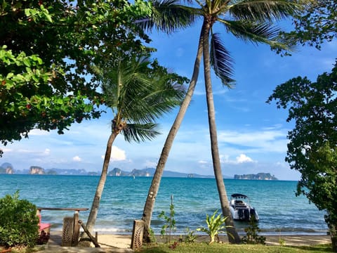 Neighbourhood, Beach