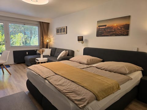 Bed, Living room, Photo of the whole room, Seating area, Bedroom