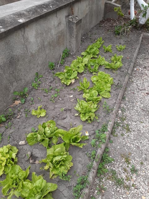 La petite escale House in Centre-Val de Loire