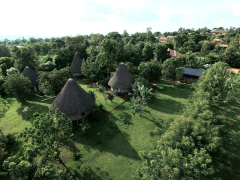 Bird's eye view, Garden view