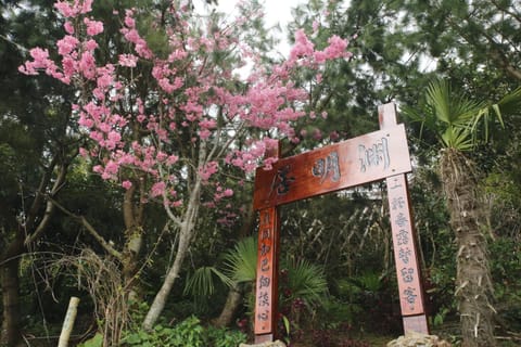 Facade/entrance, Garden