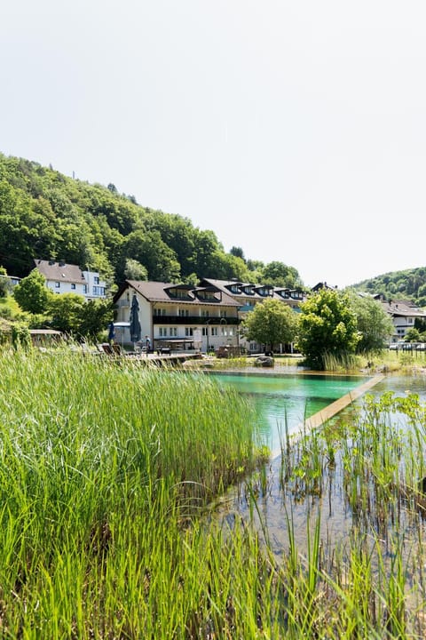 Natural landscape, Garden, Swimming pool