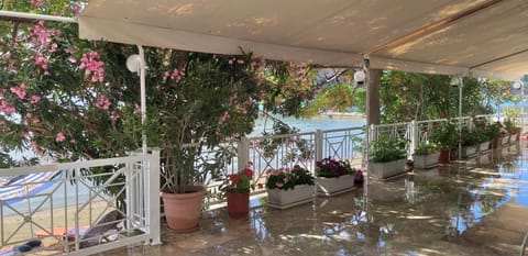 Patio, Balcony/Terrace
