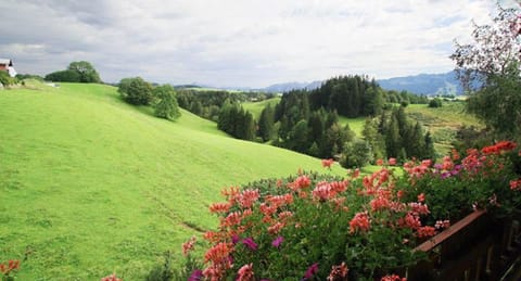 View (from property/room), Garden view