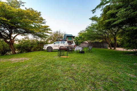 Spring, Day, Natural landscape, Garden, Garden view