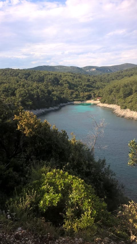 Planika Apartments 2 Apartment in Dubrovnik-Neretva County