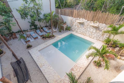 Patio, Day, Garden, Garden view, Pool view, Swimming pool, Inner courtyard view, sunbed