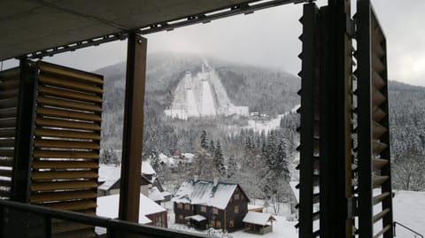 Winter, Mountain view