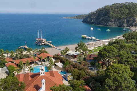 Bird's eye view, Beach, Pool view, Sea view, Swimming pool