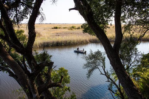 Natural landscape, River view