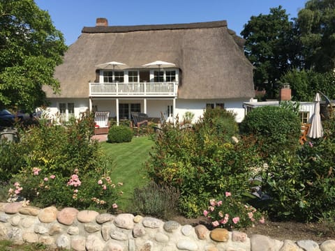 Property building, Day, Garden