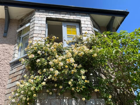 Property building, Spring, Garden, Garden view
