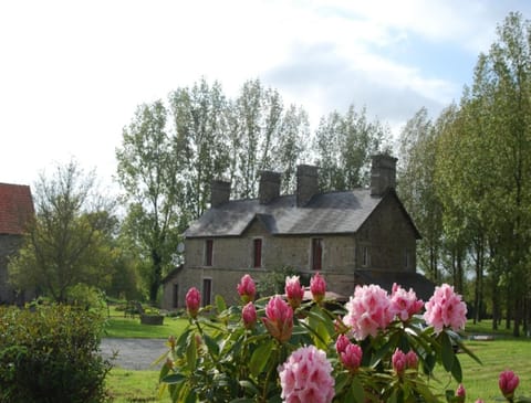 Property building, Natural landscape