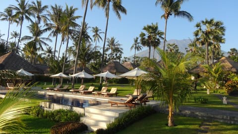 Garden, Pool view, Swimming pool, sunbed