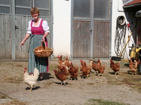 Kirmeier Hof Farm Stay in Salzburgerland