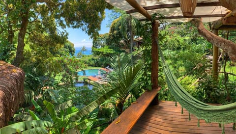 Natural landscape, Garden view, Pool view