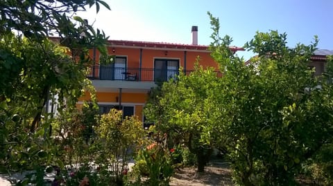 Property building, Garden