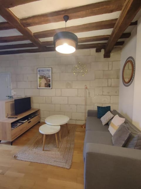 Lovely T2 in the heart of Tours Apartment in Tours