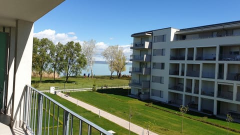 Lake view