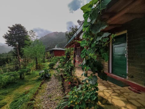 Natural landscape, Garden view, Mountain view