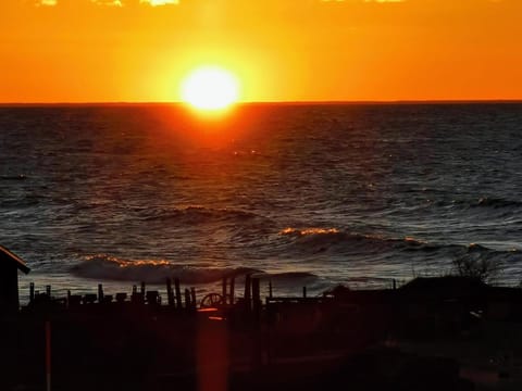 Villa Neptuni rumsuthyrning Apartment in Kalmar County, Sweden