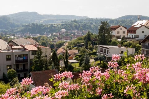 Neighbourhood, City view