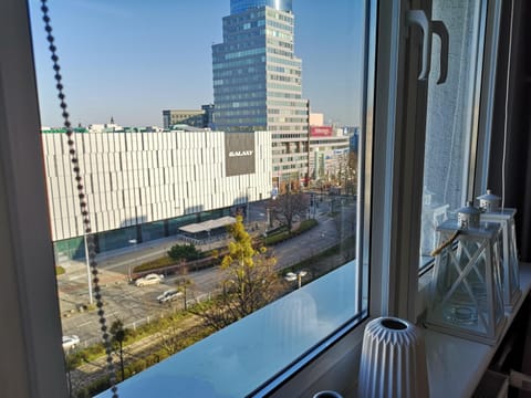 Nearby landmark, City view