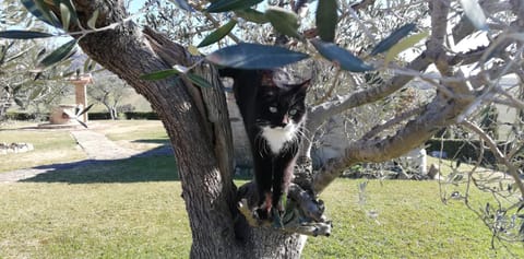 Agriturismo Casa al Povero Farm Stay in Tuscany