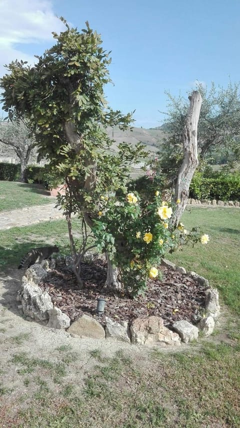 Agriturismo Casa al Povero Farm Stay in Tuscany