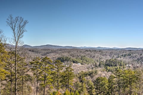 Falcons Lair House in Blue Ridge