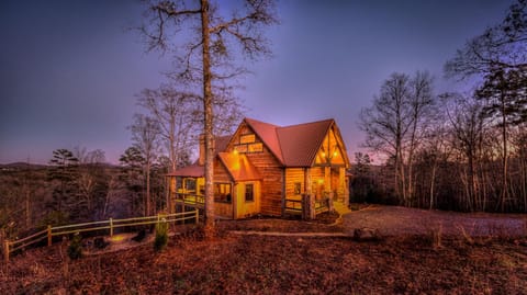 Falcons Lair House in Blue Ridge